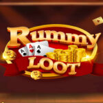 Rummy Loot Apk